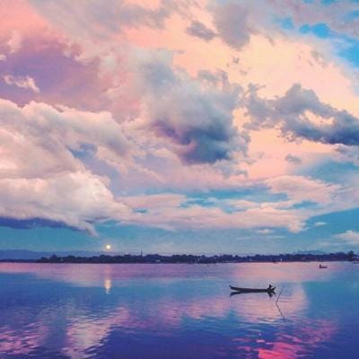 Taufik Hidayat avatar